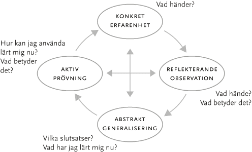 Kolbs modell